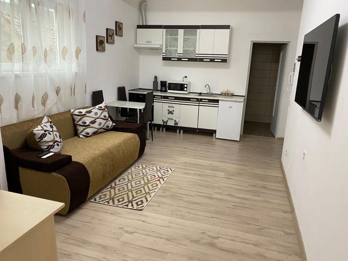 סיגישוארה Centralhome Ap1 מראה חיצוני תמונה