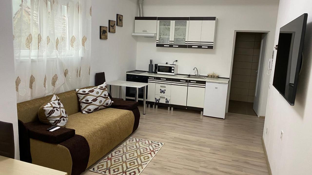 סיגישוארה Centralhome Ap1 מראה חיצוני תמונה